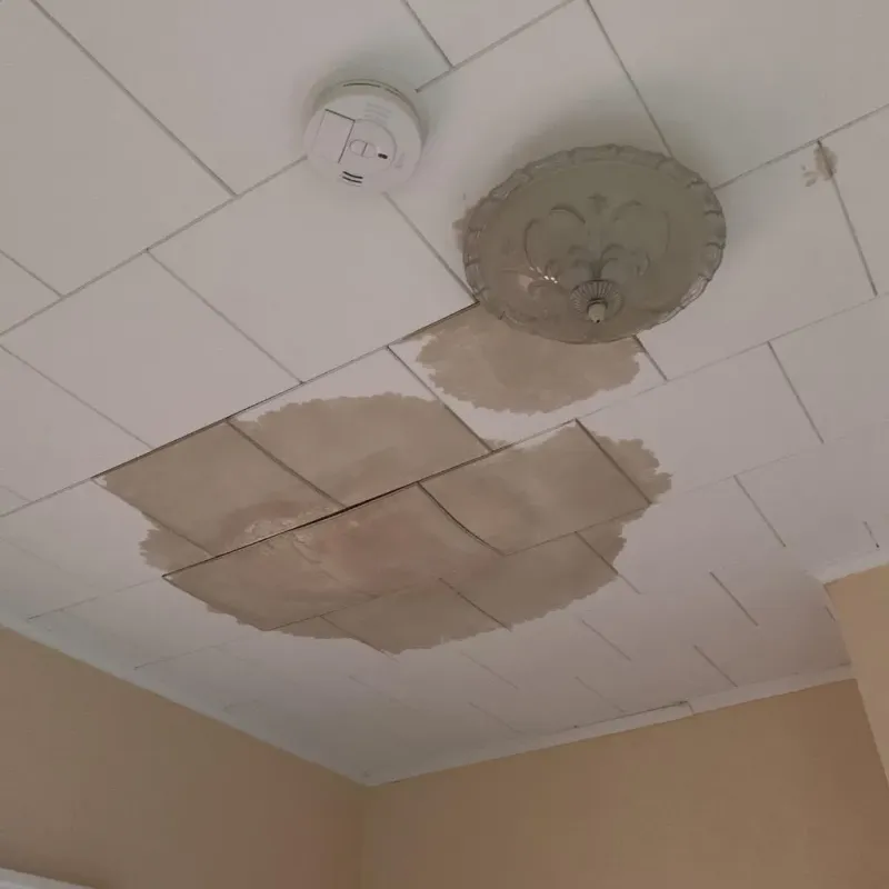Ceiling Water Damage Repair in Waterloo, NE