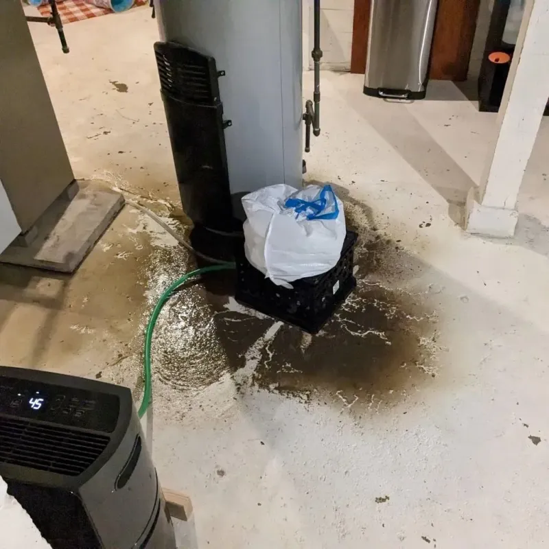 Sewage Backup Cleanup Service in Waterloo, NE